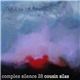 Cousin Silas - Complex Silence 28